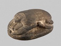 Aeg V 24 Seite 1  Aeg V 24, 19. Dynastie (Zeit Tausrets, 12. Jahrhundert v. Chr.), Skarabäus mit menschlichem Gesicht, Dunkle Fayence, L 9,4 cm, B 6,5 cm, H 4,2 cm : Bestandskatalog Ägypten, Museumsfoto: Claus Cordes